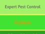 Expert Pest Control Fulham
