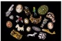 Jewellery Watch Repairs and Restoration London