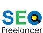 seofreelancerpune