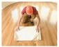 South Kensington Builders