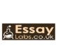 EssayLabs