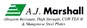 A J Marshall (Special Steels) Ltd