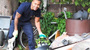 Garden Clearance South East London