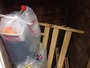 Speedy Waste Collectors Ltd