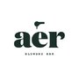 aer blowdry bar