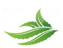 Lr Aloe Vera Consulting