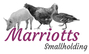Marriotts Smallholding
