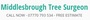 Middlesbrough Tree Surgeon