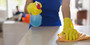 Cleaners On Call Chiswick