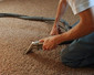 Carpet Cleaning Nightingale