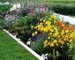 Gardeners Purley
