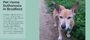 Lucy Mitchell - Home Vet