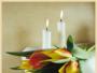 Funeral Directors In Glasgow