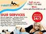 Adultsworld | Beautiful escorts in London