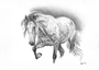 Emily Mayman - The Equine Artist
