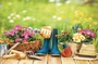 Gardeners Eltham