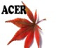 Acer Lawn Care