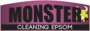 Monster Cleaning Epsom